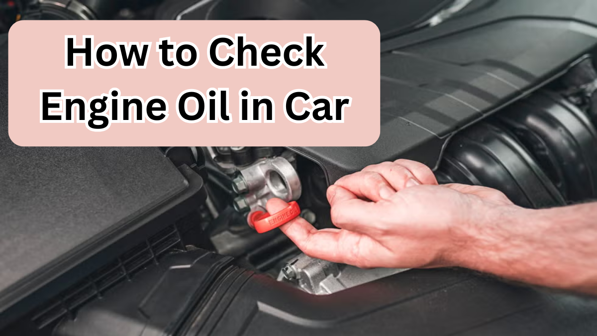 How to Check Engine Oil in Your Car (Easy DIY Guide)